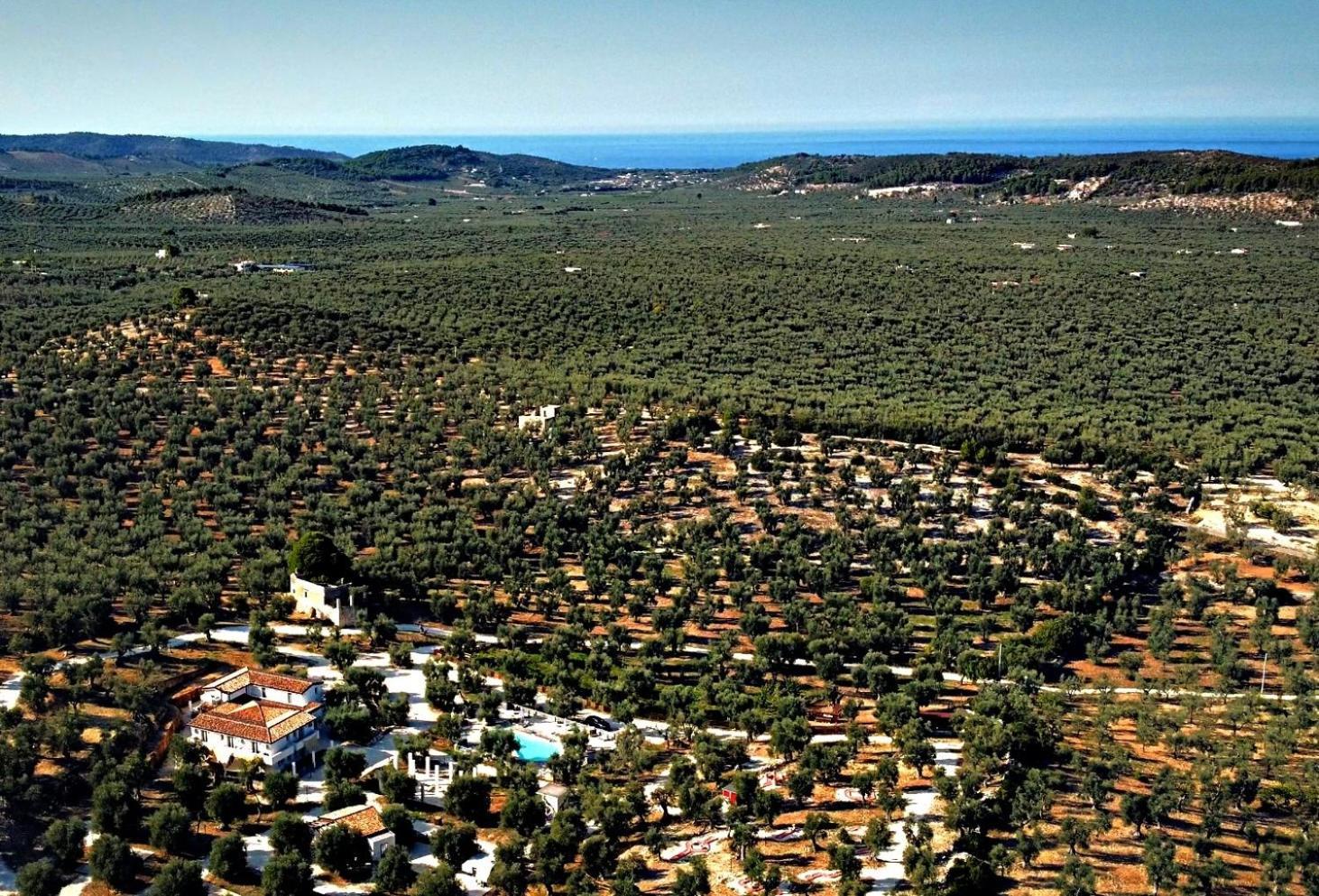 Agricampeggio - Solo Piazzole Vuote - Agriturismo Passione Natura Βιέστε Εξωτερικό φωτογραφία